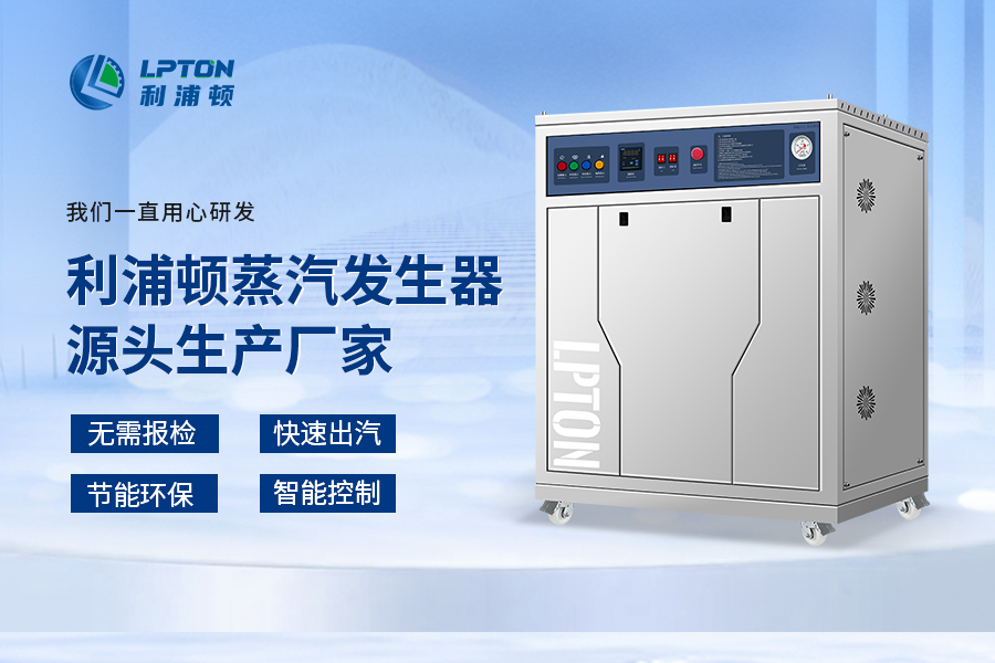 利浦頓高溫過熱蒸汽發生器在化工廠的應用